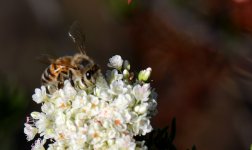 31st Aug 2015 013.JPG