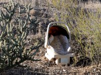 31st Aug 2015 017.JPG