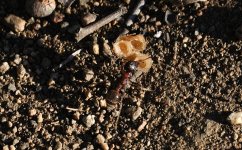 31st Aug 2015 020.JPG