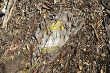 31st Aug 2015 023.JPG