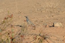 31st Aug 2015 036.JPG