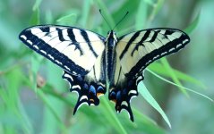 1st Sept 2015 031.JPG