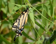 1st Sept 2015 008.JPG