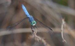 1st Sept 2015 050.JPG