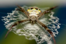 DSC_1502.jpg