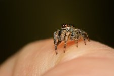 DSC_1510.jpg