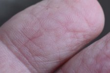 fingerprint.jpg