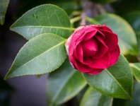 untitled-1-329.jpg