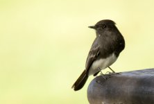 2nd Sept 2015 001.JPG