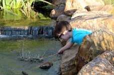 2nd Sept 2015 022.JPG