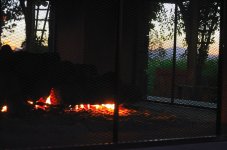 2nd Sept 2015 031.JPG