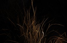 2nd Sept 2015 034.JPG