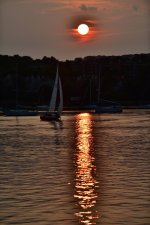 DSC_1586 (683x1024).jpg