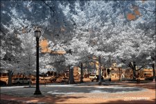 9-3-15 Medina IR   7.jpg
