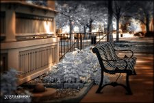 9-3-15 Medina IR   8.jpg