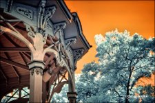 9-3-15 Medina IR   9.jpg