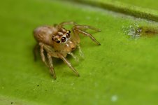 DSC_1557.jpg