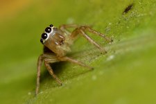 DSC_1567.jpg