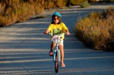 3rd Sept 2015 001.JPG