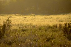 3rd Sept 2015 003.JPG