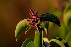 3rd Sept 2015 006.JPG