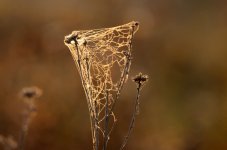 3rd Sept 2015 007.JPG