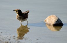 4th Sept 2015 002.JPG