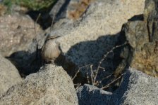 4th Sept 2015 054.JPG