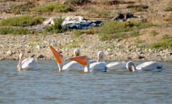 4th Sept 2015 006.JPG