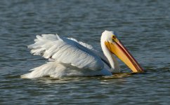 4th Sept 2015 043.JPG