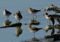 4th Sept 2015 026.JPG