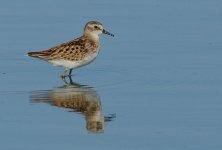 4th Sept 2015 035.JPG