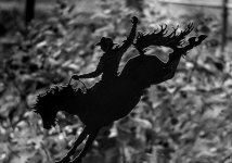 _DSC8327-Edit.jpg
