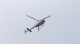 untitled-1-244.jpg