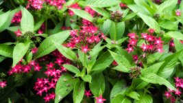 _DSC1883-Edit (1000x562).jpg