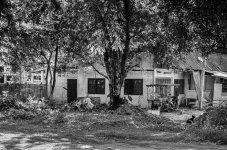 environment-bw-1.jpg