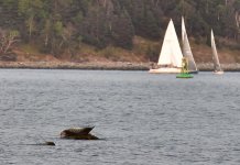 DSC_1573.jpg