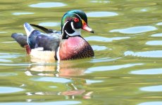 5th Sept 2015 006.JPG