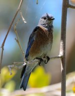 5th Sept 2015 011.JPG