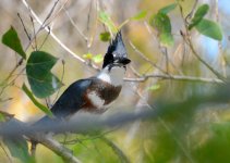 5th Sept 2015 015.JPG