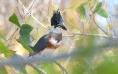 5th Sept 2015 020.JPG