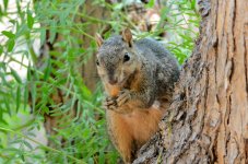 5th Sept 2015 048.JPG