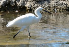 5th Sept 2015 053.JPG