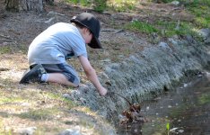 5th Sept 2015 058.JPG