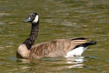 5th Sept 2015 077.JPG