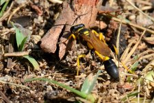 5th Sept 2015 085.JPG