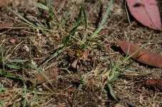 5th Sept 2015 087.JPG