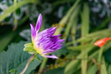 DSC_5127.jpg