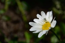 DSC_5111.jpg