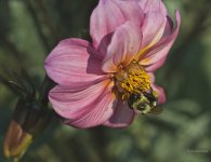 _AAA6166 - Version 2.jpg